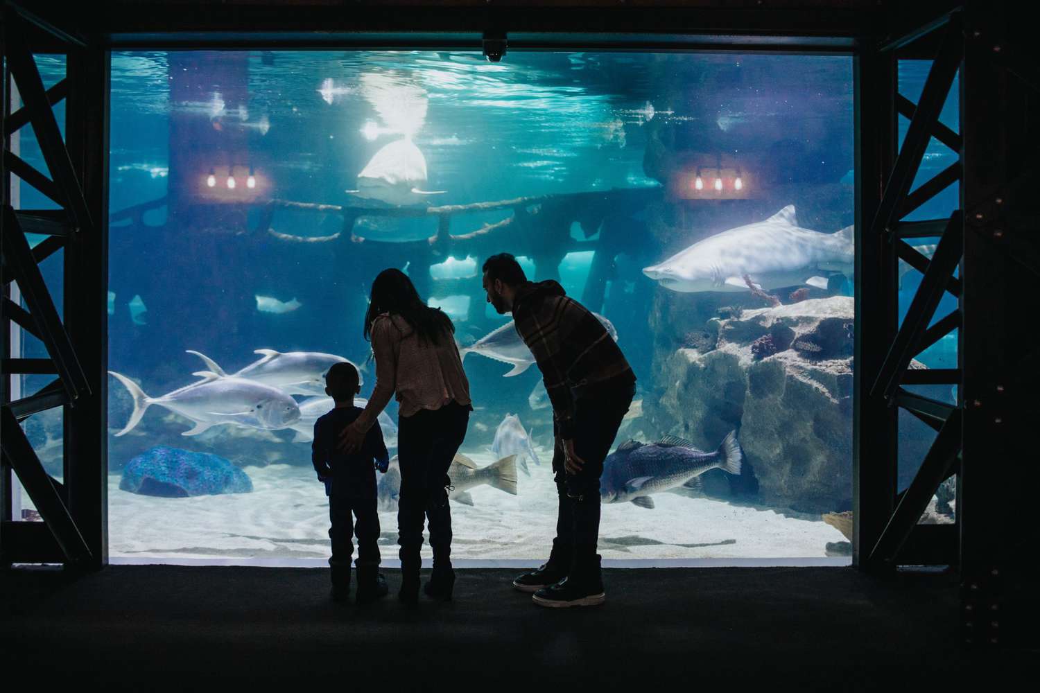 Cleveland Aquarium