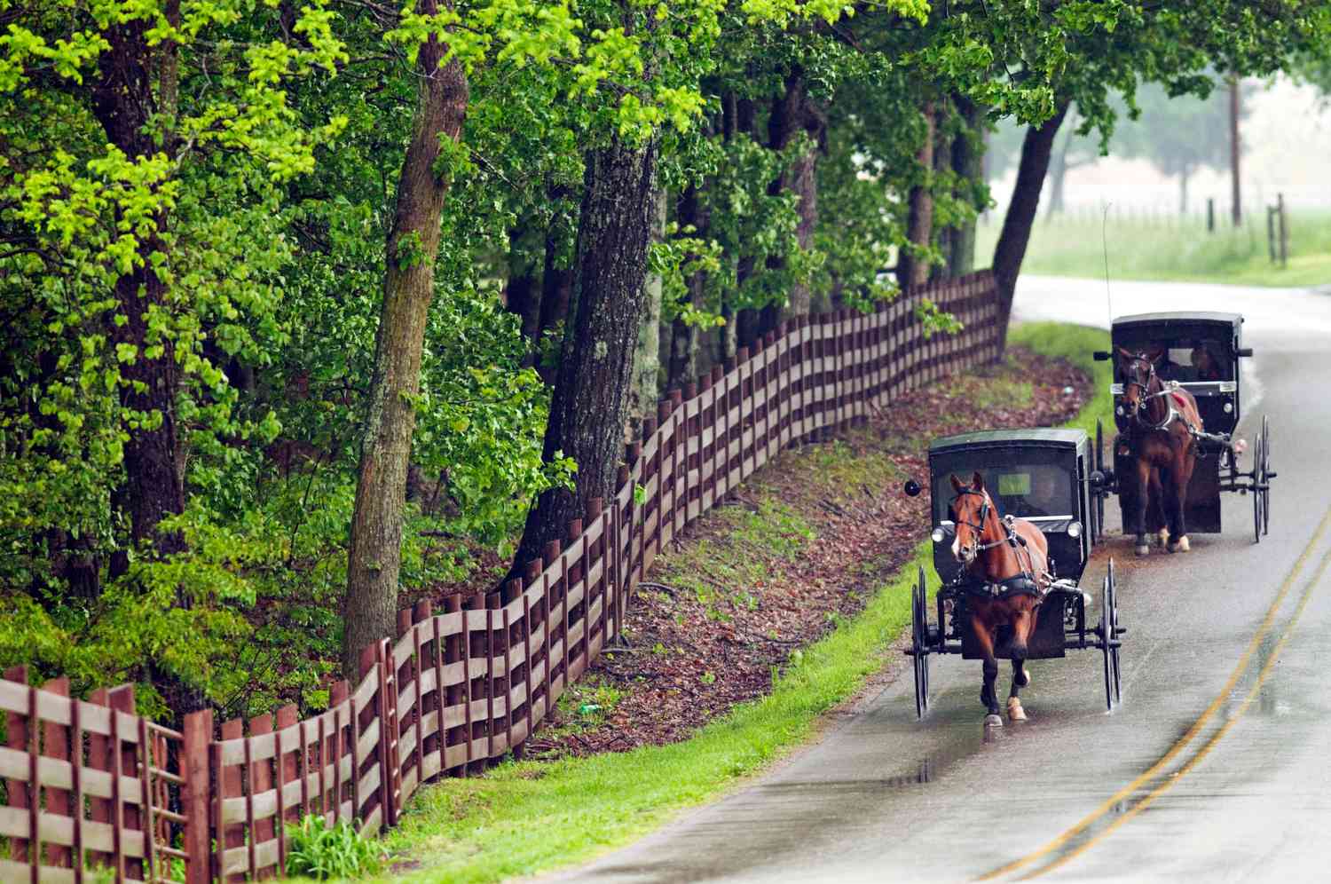 Amish in Adams County Ohio