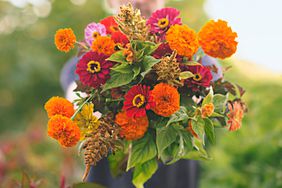 Red, pink and yellow zinnias, with marigold u2018Giant Orangeu2019, and plumed and crested celosia.